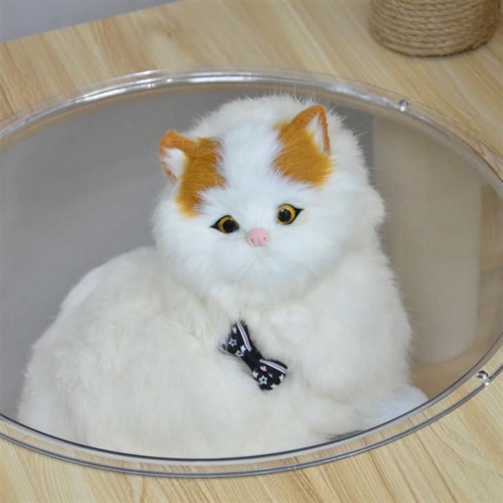 Multi-Level Cat House